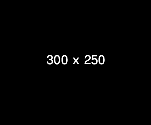 300 x 250 3